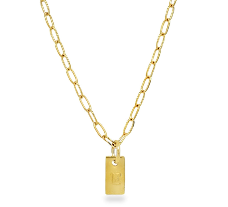 GOLD PLATED INITIAL NECKLACE # 805-00790