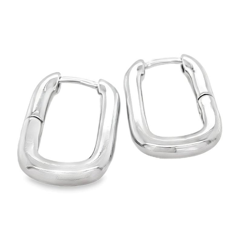 RHODIUM PLATED EARRINGS  #806-00594